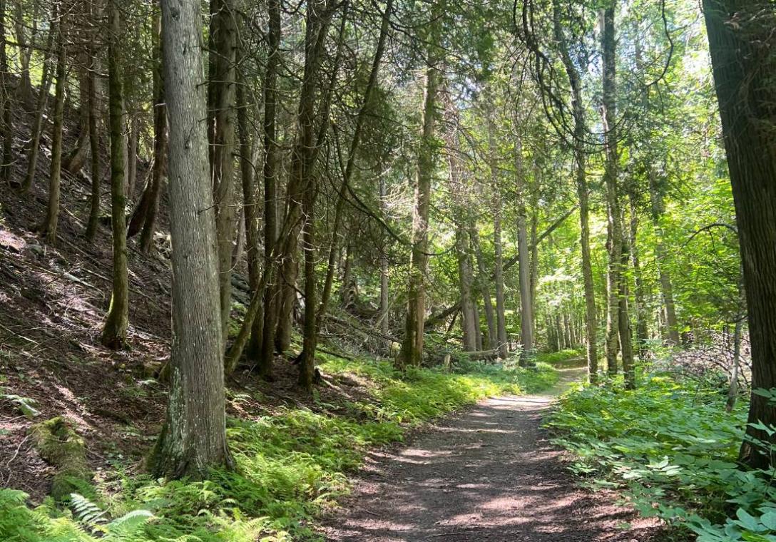Hiking in Michigan